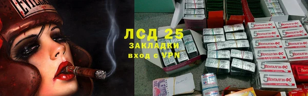 ГАЛЛЮЦИНОГЕННЫЕ ГРИБЫ Нязепетровск