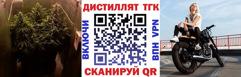 ТГК вейп  ОМГ ОМГ как войти  Котельнич  наркотики 