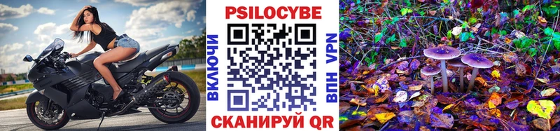Галлюциногенные грибы мухоморы  Котельнич 